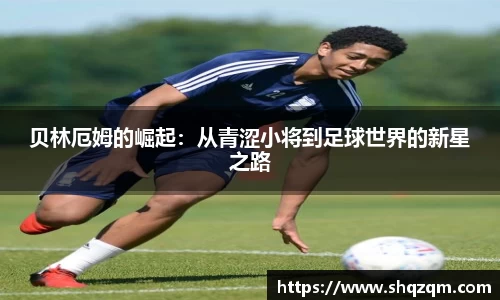 爱游戏ayx官方网站