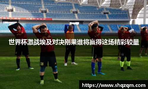 世界杯激战埃及对决刚果谁将赢得这场精彩较量